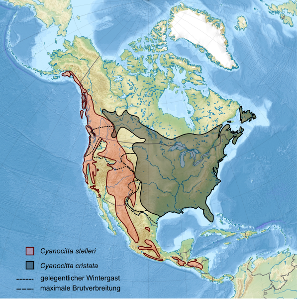 File:Cyanocitta distribution.svg