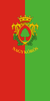 Bandeira de Nagykőrös