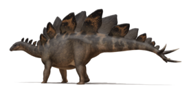 Реконструкция Stegosaurus stenops, основанная на образце «Софи»