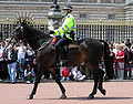 Cavalariano da polícia metropolitana.