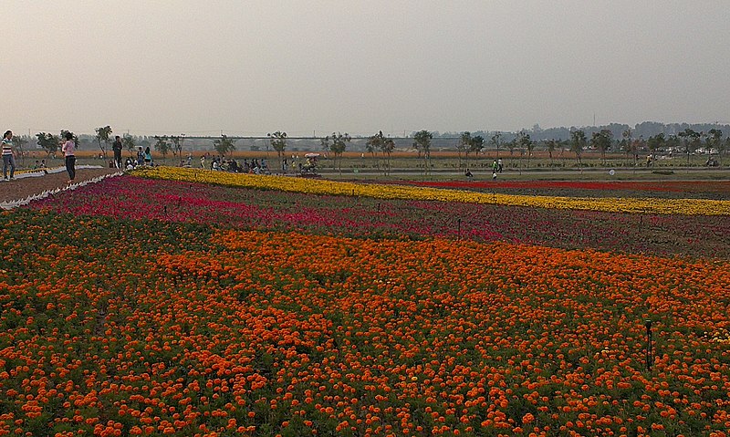 File:Baohe, Hefei, Anhui, China - panoramio (5).jpg