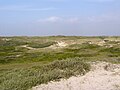 Dünenlandschaft bei St. Maartenszee