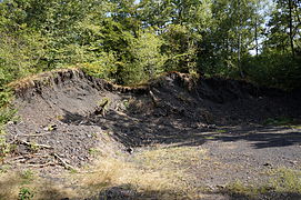 Terril entamé par des pelleteuses dont le reste est recouvert par la végétation.