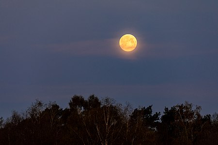 Dülmen, Hausdülmen, Mond über Schmalo (2020)