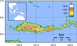 Topografiese kaart van Flores