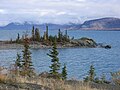 Kluane Lake is the largest entirely in Yukon