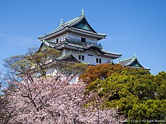 桜と和歌山城(Wakayama Castle with Cherry blossoms) 02 Apr, 2016 - panoramio.jpg