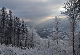 Czech Republic