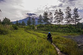 Offroad riding