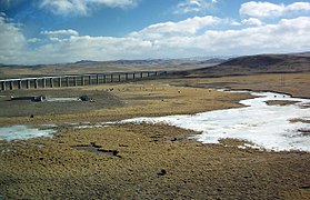 Les viaducs de la ligne ferroviaire Qing-Zang permettent aux animaux de passer librement sous la ligne, ici des yacks.