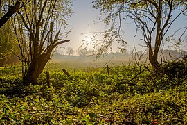 Nordkirchen, Naturschutzgebiet Ichterloh -- 2018 -- 2131-7