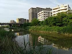 新田島橋の上流より北東の眺め