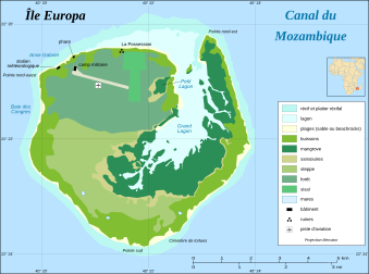 Carte simplifiée de la végétation d’Europa, une île française inhabitée dans le canal du Mozambique, où se reproduisent chaque année des milliers de tortues vertes. (image vectorielle)