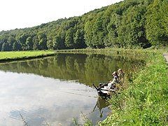 La Sambre et le bois domanial de Leernes.