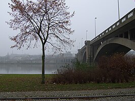 Brug over de Maas met de stad op de achtergrond