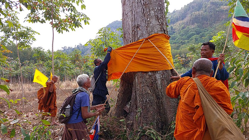 File:ธรรมยาตราเพื่อผืนป่าตะวันออ. 11.jpg