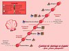 El Camino de Santiago por la provincia de Zaragoza