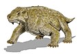 Scutosaurus karpinskii (Procolophonia)