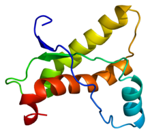 Protein PRNP PDB 1ag2.png