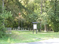 Military cemetery from World War I and World War II in Dąbrowa Tarnawacka near Tarnawatka (10).jpg