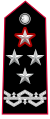 Distintivo per controspallina del generale di corpo d'armata comandante generale dell'Arma dei Carabinieri