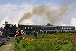 A small steam locomotive with three blue carriages.