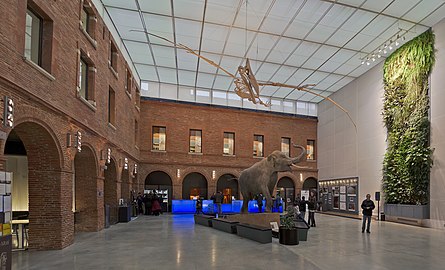 Le Grand Carré, L'éléphant et le Quetzalcoatlus