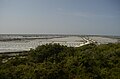 Salt pans near Point calimere, Tamil Nadu, India