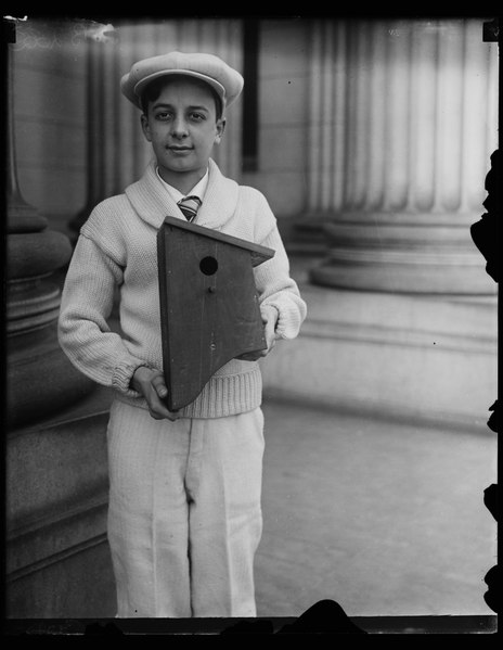 File:"America's typical boy" has birdhouse exhibit in Washington. Barrett of Farmingham, Mass., who was selected (...) artist Alberto Barretto as the American boy, is now exhibiting his skill LCCN2016888693.tif