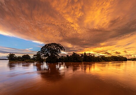 Samanea saman on an island with orange clouds and blue sky at sunrise from Don Det Si Phan Don Laos