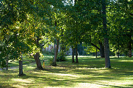 Taheva mõisa park