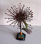 Modèle de feuille de Drosera couverte de poils glanduleux, présenté sur un socle noir.