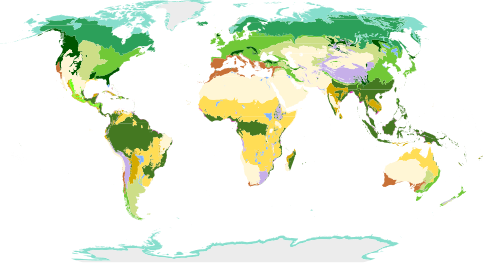 Olsons/WWFs inndeling[7]   Tropiske og subtropiske fuktige løvskoger   Tropiske og subtropiske tørre løvskoger   Tropiske og subtropiske barskoger   Tempererte løvskoger og blandingsskoger   Tempererte barskoger   Barskog   Tropiske og subtropiske gressområder, savanner, og buskområder   Tempererte gressområder, savanner, og buskområder   Oversvømmede gressområder og savanner   Alpine gress- og buskområder   Tundra   Mediterrane skoger, skogsområder og kratt   Ørkener og tørre buskområder   Mangrover   Snø og is