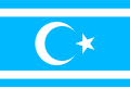 Vlag van Turkmeneli