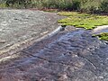 20 metre long petroglyph at KC NP