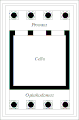 Plan du temple