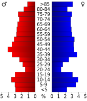 Bevolkingspiramide Webster County