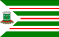 Bandeira de Nova Andradina