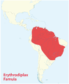 Erythrodiplax Famula