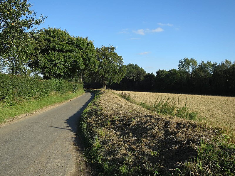 File:Kerdiston Road - geograph.org.uk - 5555278.jpg