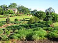 South Carolina Botanical Garden