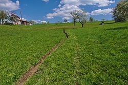 Strouha od studánky v PP