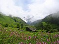 Valley of Flowers National Park, a UNESCO World Heritage Site