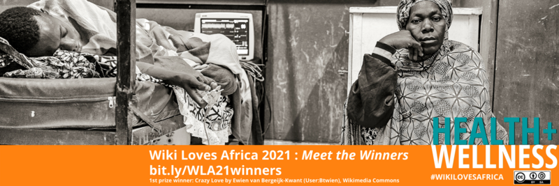 File:WLA21 Winners Social Media Twitter Cover.png