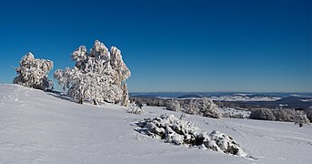 Winter auf dem Melpertser Rasenberg