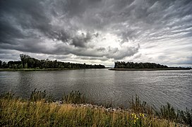 Dordrecht Brabantski čebelji gozd