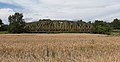 près Rheine-Rodde, le pont ferroviaire sur le canal Dortmund-Ems