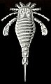 Eurypterid