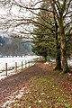 English: Wooden fence in a meadow on Warmbader Straße Deutsch: Holzzaun in einer Wiese an der Warmbader Straße