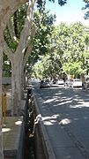 Arbolado y acequia en calle Mitre.